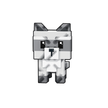Raccoon